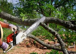 Best Lawn Watering Services  in Aspen Hill, MD