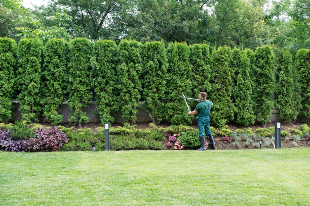 Best Lawn Irrigation Installation and Maintenance  in Aspen Hill, MD