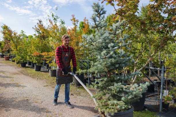 Best Leaf Removal  in Aspen Hill, MD