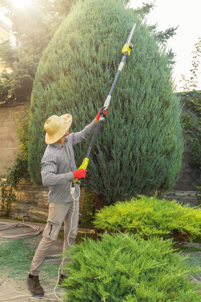 Best Seasonal Cleanup (Spring/Fall)  in Aspen Hill, MD
