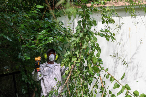 Best Hazardous Tree Removal  in Aspen Hill, MD